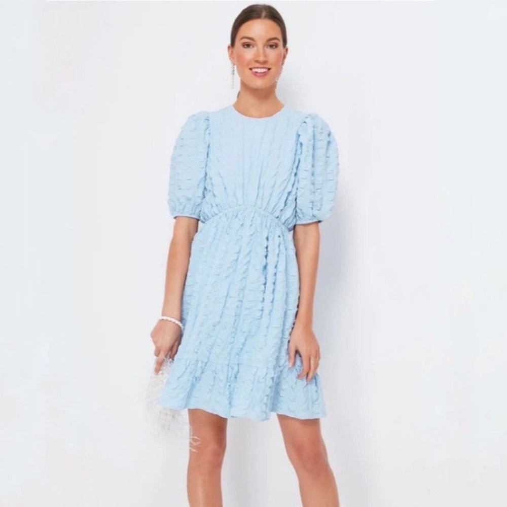 Hyacinth House Emerson Textured Puff Sleeve Ruffle Mini Dress M Light Blue
